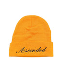 SCRIPT BEANIE